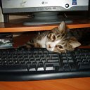 ������ �� ������� �������