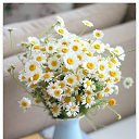  Back To Real Life, , 57  -  1  2012    