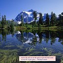 ���� ������, �����, 43 ���� - ��������� 21 ���� 2013