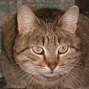 ���� ����, �������, 64 ���� - ��������� 19 ��� 2012 � ������ ���� ����������