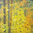 ���� Oleg, ������, 87 ��� - ��������� 7 �������� 2012 � ������ �Paints�