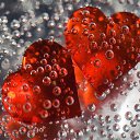  , -, 47  -  16  2012