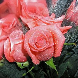 ���� �������, ������, 57 ��� - ��������� 16 ��� 2012