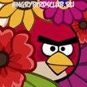 ���� ����, ������, 25 ��� - ��������� 22 ����� 2012 � ������ �PetLove�