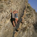  Digimon, , 37  -  30  2011    