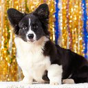 ���� ����! ���, ������������, 52 ���� - ��������� 7 ������ 2012 � ������ ��������