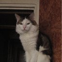 ���� Vitaliy, ����, 53 ���� - ��������� 3 ������� 2012 � ������ ���� ����������