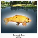 ���� ������, �������, 38 ��� - ��������� 6 ������ 2011