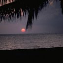 ���� ~Ann&ramosh~, ���������� - ��������� 8 ������ 2010 � ������ �������� �������!!!�