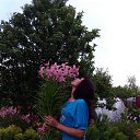 ���� �������, ������������, 48 ��� - ��������� 4 ������� 2013 � ������ ���� ����������