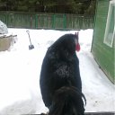 ���� �������, ������ - ��������� 20 ����� 2012 � ������ ���������