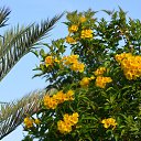 ���� ������, ������ - ��������� 20 ���� 2012 � ������ �������