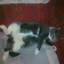 �2 ������. �� ������� �������