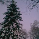 ���� ������, �������, 53 ���� - ��������� 27 ������ 2013 � ������ ���� ����������