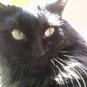 ���� ����, ���������, 32 ���� - ��������� 22 ��� 2012 � ������ ���� ����������