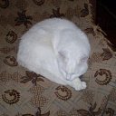 ���� �����, ������, 27 ��� - ��������� 25 ������� 2012 � ������ ���� ����������