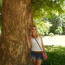 ���� �����, ���������, 41 ��� - ��������� 8 ���� 2013 � ������ ���� ����������