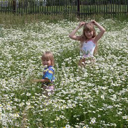 ������� ��������, ����, 55 ���