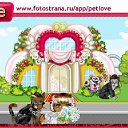   , , 81  -  19  2011   PetLove