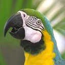 ���� ����, ������, 26 ��� - ��������� 25 ����� 2010 � ������ ���� ����������