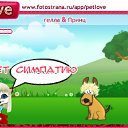   , , 36  -  12  2010   PetLove
