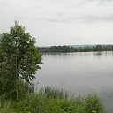���� Ne Golosuiu, �����������, 86 ��� - ��������� 6 ������� 2012 � ������ �������