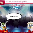 ���� �����, ���������, 38 ��� - ��������� 2 ������ 2010 � ������ �PetLove�