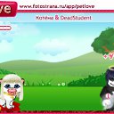   (),  -  20  2010   PetLove