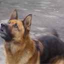 ���� �������, ����, 64 ���� - ��������� 18 ������� 2011 � ������ ���� ����������