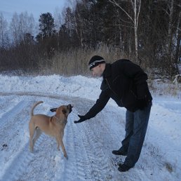 ���� ���������, ���������, 39 ��� - ��������� 14 ������ 2011