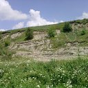 ���� ���, ����, 40 ��� - ��������� 10 �������� 2010 � ������ ���� ������ � ���� ���� ���� 2010�