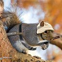  ....... ( ), , 57  -  30  2012    