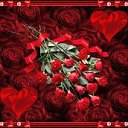 ���� ������, ������ - ��������� 23 ��� 2013 � ������ ���� ����������
