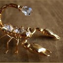 ���� ����, ������, 55 ��� - ��������� 25 �������� 2011 � ������ �������