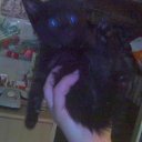 ���� �������, �����, 53 ���� - ��������� 23 ������� 2009 � ������ ����������