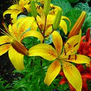 ���� �����, �������, 44 ���� - ��������� 12 ������� 2010 � ������ ������ � ���� ����