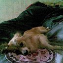  Natasha,  , 31  -  17  2012   