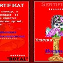 ���� �����a, ������� - ��������� 7 ��� 2011 � ������ ���� �ѻ