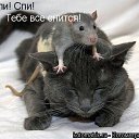 ���� ��������, ������ - ��������� 27 �������� 2010 � ������ ���������!!!�