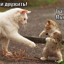  ,  -  5  2012   =)
