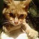 ���� Yrii, �������, 52 ���� - ��������� 17 ������ 2010 � ������ ������