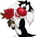  , --, 45  -  15  2012