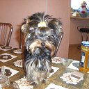 ��� �������� �� ������� �������