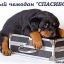 ���� ����, �������, 59 ��� - ��������� 1 ������� 2012 � ������ ������ ������