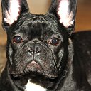 ���� Alex, �����������, 48 ��� - ��������� 13 ��� 2012 � ������ ���� ����������