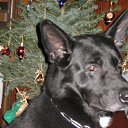 ���� ��������, ������, 46 ��� - ��������� 27 ������� 2010 � ������ �������