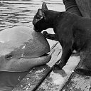 ���� �����, �����-��������� - ��������� 13 ���� 2013 � ������ ���� ������� �������