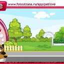  , , 37  -  12  2010   PetLove