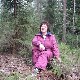 �����, ������, 73 ����