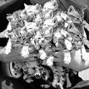 ���� Yurii, ������, 42 ���� - ��������� 17 �������� 2012 � ������ ���� ����������